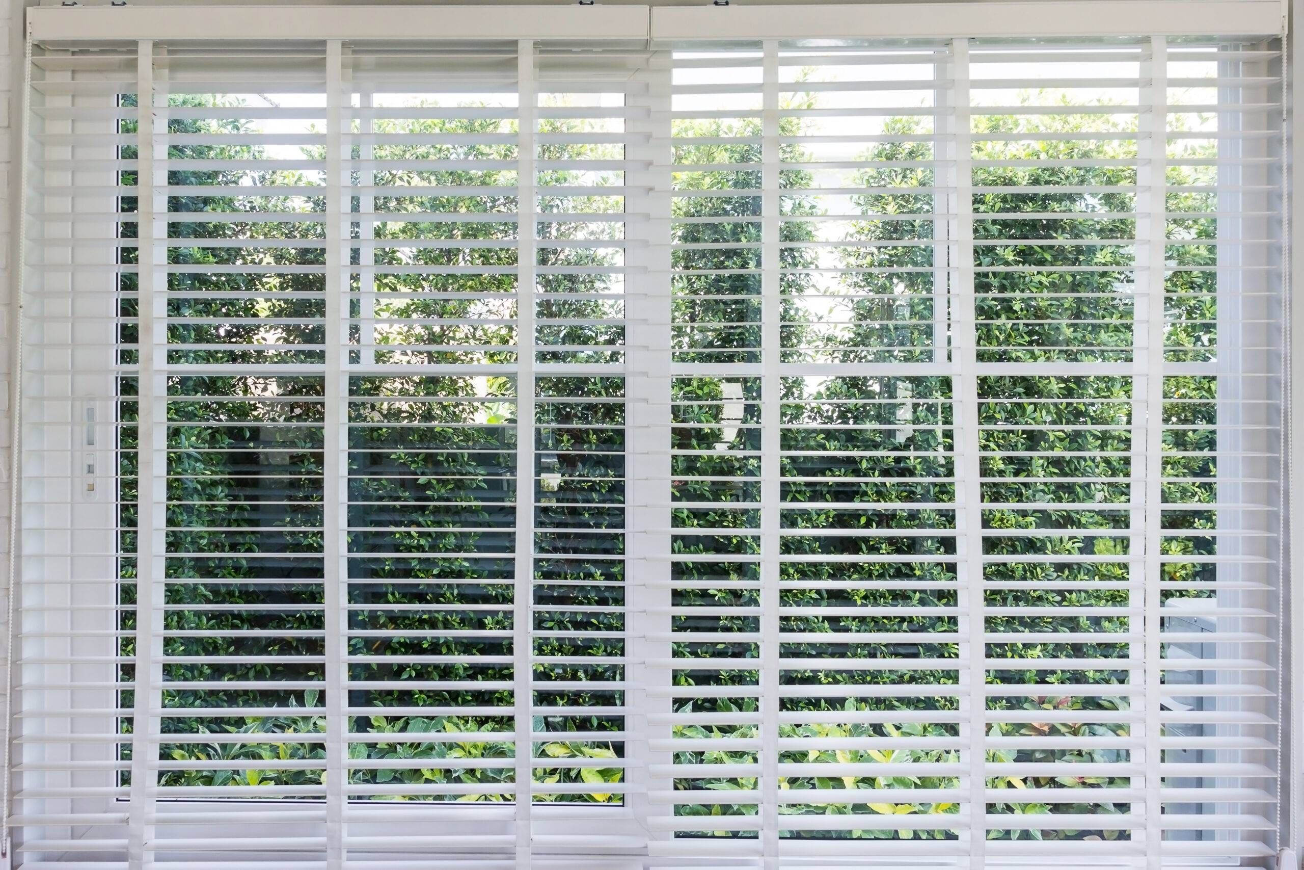 white blinds on a home window
