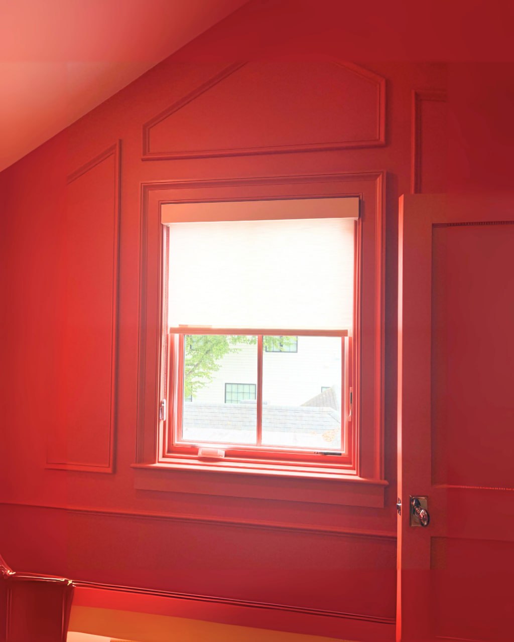 photo_5177383638981610763_y